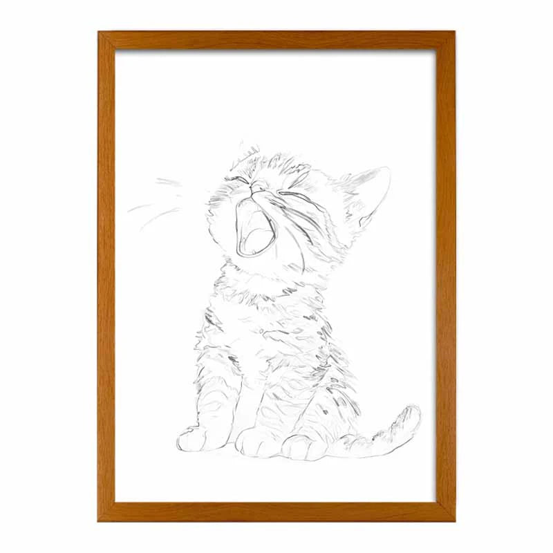 Morning Cat - Animals