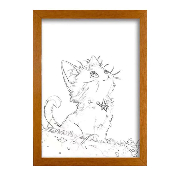Cat watching the stars - Animals