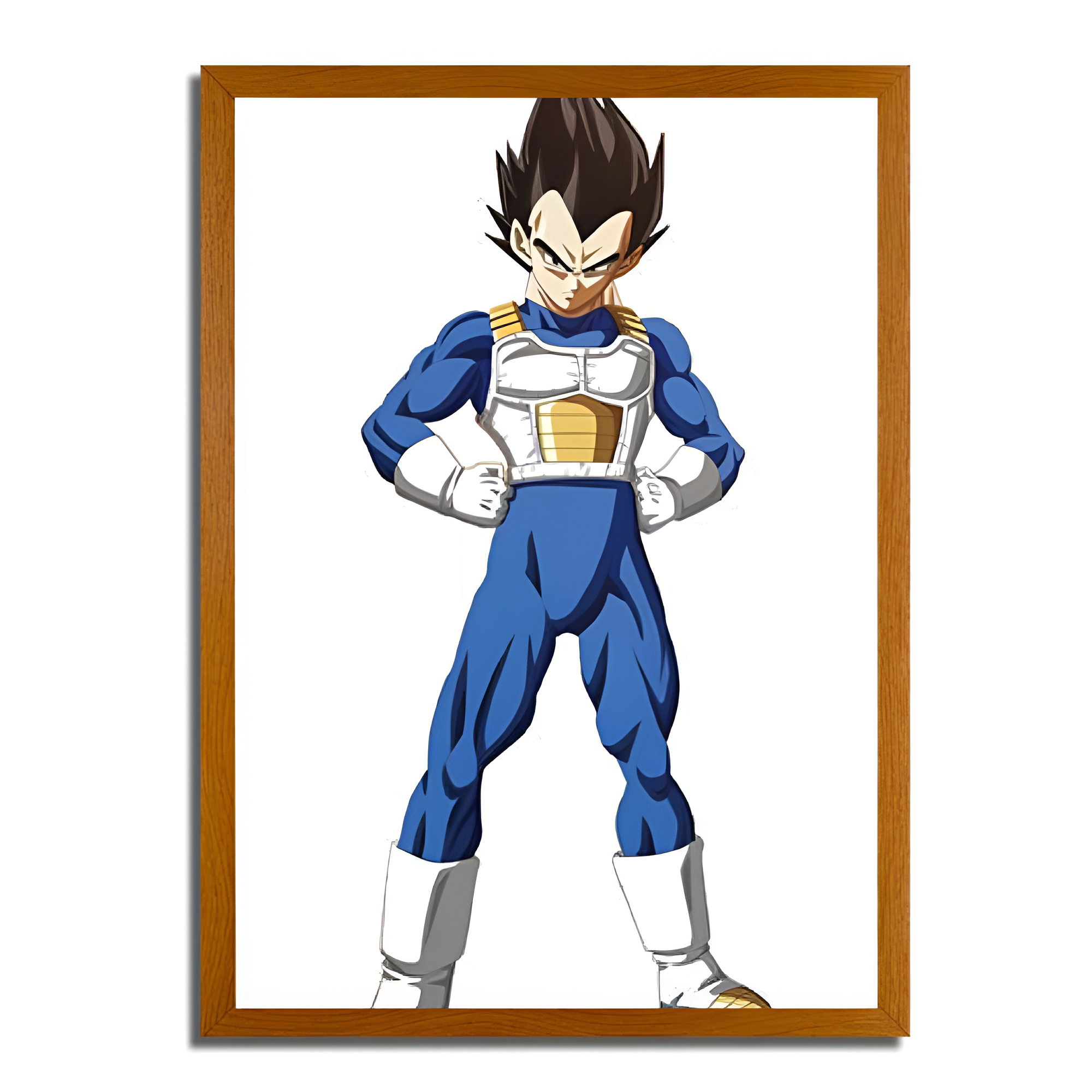 Vegeta's Evolution - Dragon Ball