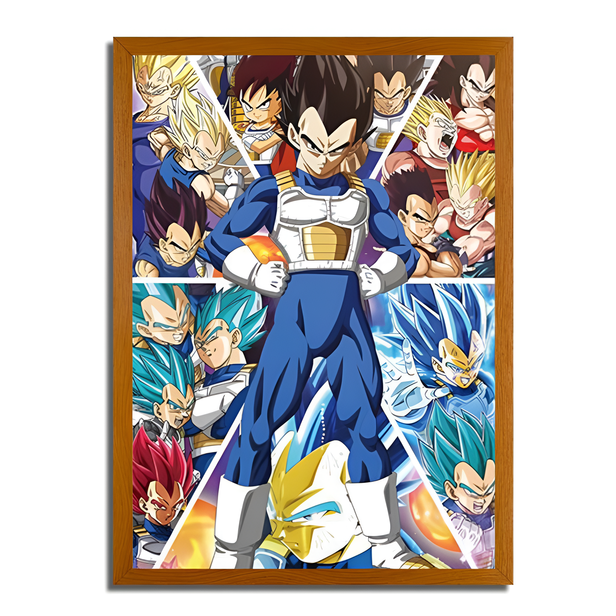 Vegeta's Evolution - Dragon Ball